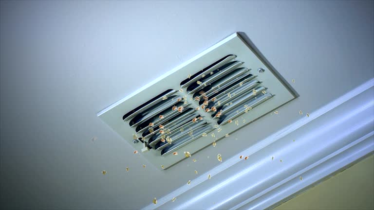 Best Best Air Duct Cleaning Company  in Mcgregor, TX