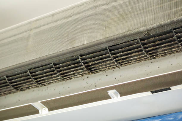 Best Ductwork Cleaning Services  in Mcgregor, TX